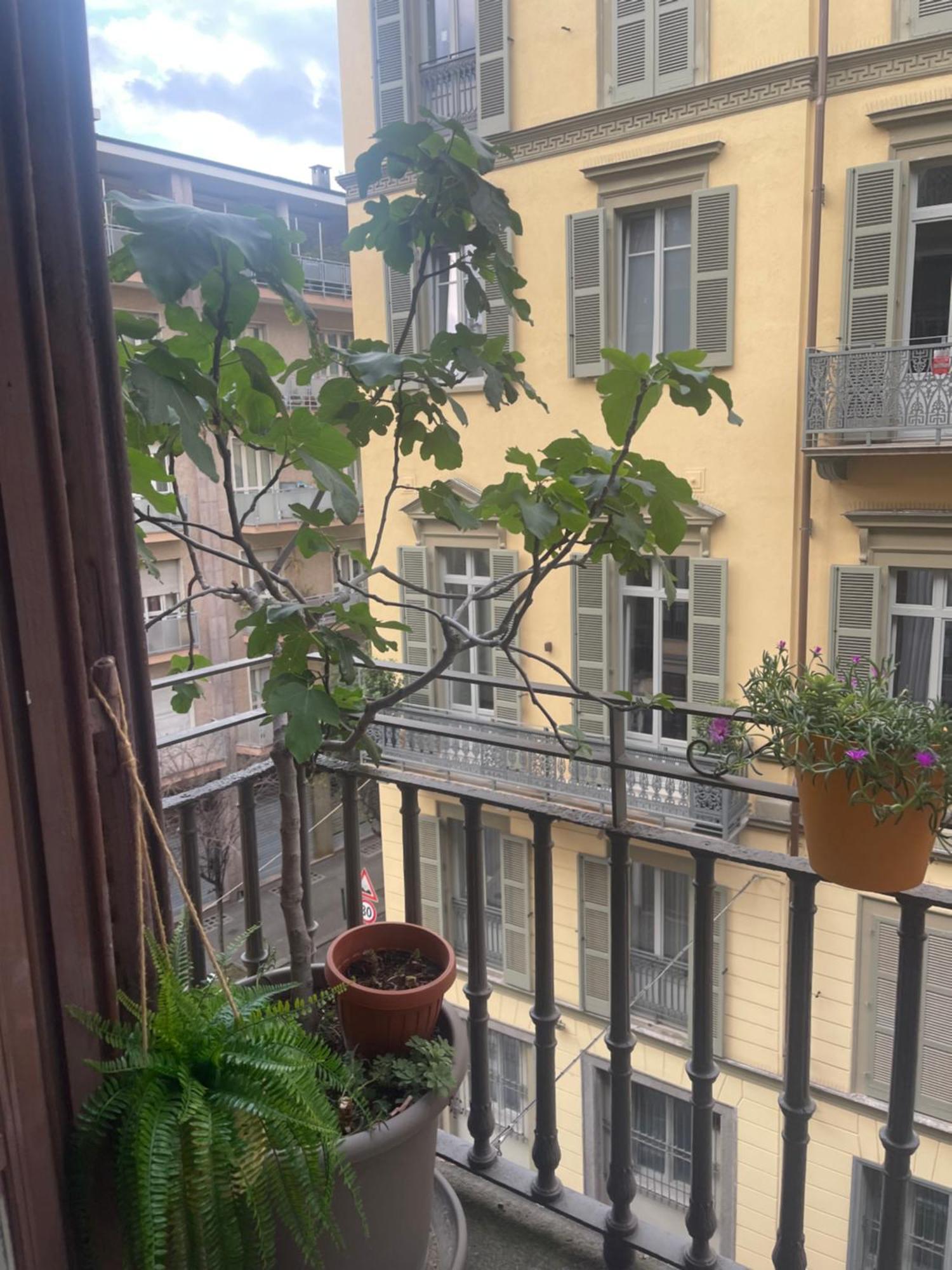 Torino Natura In Centro Екстер'єр фото